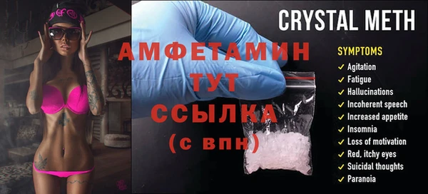 сатива Армянск