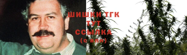 сатива Арсеньев
