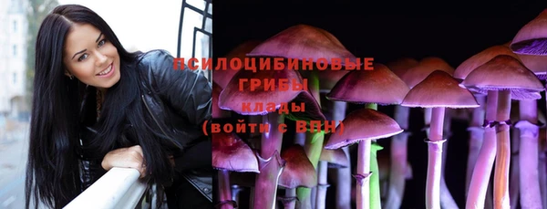 сатива Армянск