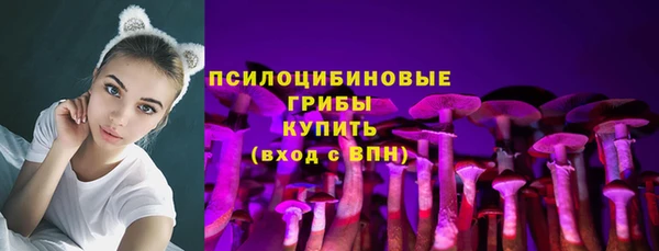 сатива Армянск