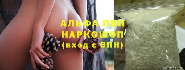 сатива Арсеньев
