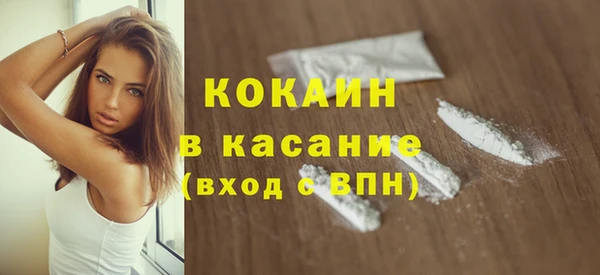 сатива Армянск