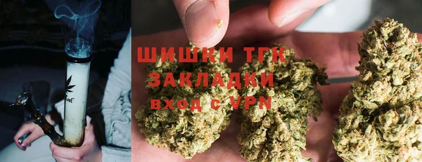 сатива Армянск