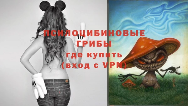 сатива Армянск