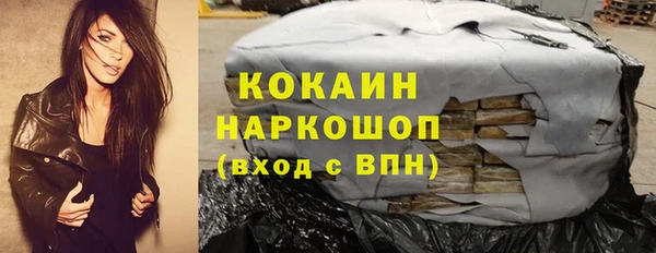 сатива Арсеньев