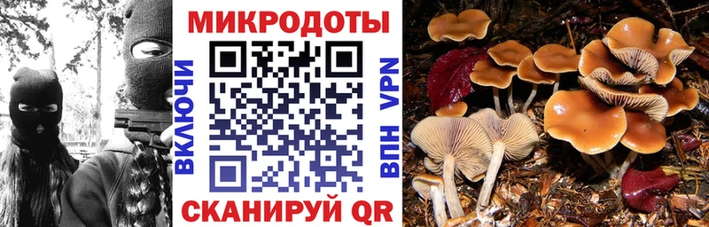 Псилоцибиновые грибы MAGIC MUSHROOMS  где купить наркоту  даркнет формула  Люберцы 